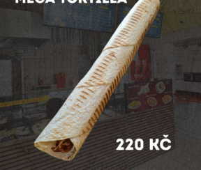 AliKebabMegaTortilla